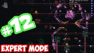 КАК УБИТЬ СКЕЛЕТРОНА ПРАЙМА В TERRARIA В ЭКСПЕРТ МОДЕ (Terraria 1.3.3.2-1.3.4.4)(Terraria expert)