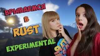 [Стрим с вебками] Зарейдили под 0. Выживаем как можем в [Rust experimental] 133 DevBlog