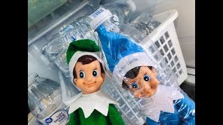 Elf TRAPS BLUE!