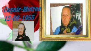Cusnir Motrea-, Petroasa,Mare --Jud,Timis