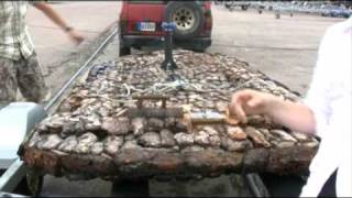 Antti Laitinen -- Bark Boat / Kaarnavene