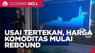 Usai Tertekan, Harga Komoditas Mulai Rebound