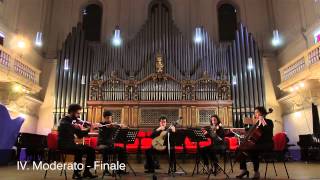 F.Telli: Serenata  - Andrea De Vitis and Quartetto Sincronie