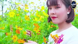 Sương trắng miền quê ngoại - LK nhạc sống rumba gái quê - Người mẫu 2k2 xinh lung linh .