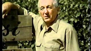 Carlo Rossi Vineyards ad