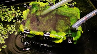 Как сделать хороший Аквариумный фильтр для воды