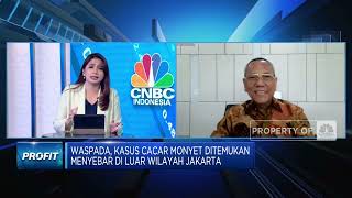 Cegah Cacar Monyet Meluas, Kemenkes Siapkan Obat & Vaksinasi