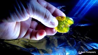 Making Amber from Tree Sap