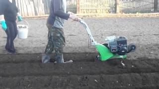 Посадка картофеля культиватором viking vh 540