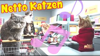 NETTO Katzen Werbung ? Instrumental Beat | Retrowave 80s Pop Space Cats Magic Fly Aries Beats Remake