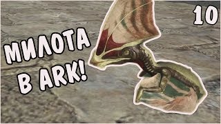 ARK: Survival Evolved |10| - Волшебный Лиоплевродон и маленький Тапежаренок!