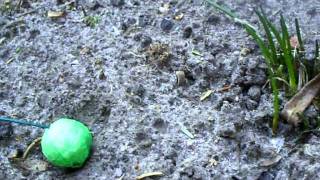 Smoke Balls 0860 (Jorge)