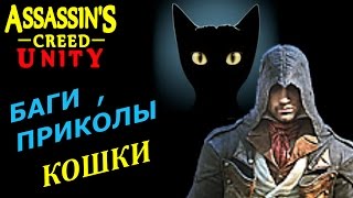 Assassin's Creed Unity баги приколы фейлы №1 Кошки