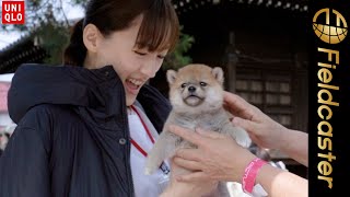 綾瀬はるかが可愛すぎる仔犬に大興奮！ユニクロ「感動パンツ篇」