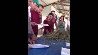 Valutazione fieno - Progetto "Latte Nobile del Formicoso"