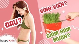 24 câu hỏi nhức nhối về TRIỆT LÔNG BIKINI | Happy Skin