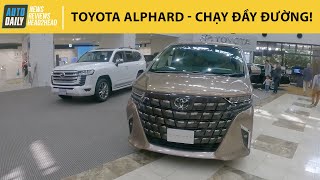 Toyota Alphard - MPV chạy đầy đường phố Nhật có gì đặc biệt?