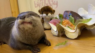 カワウソさくら 超豪華４歳の誕生日パーティー！ Super luxurious 4th birthday party!