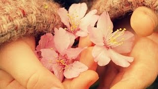 Мастер класс: классический маникюр + покрытие лечебным лаком " EL Corazon" Железная твердость.