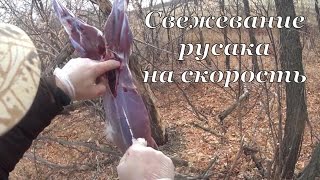 Свежевание зайца на скорость