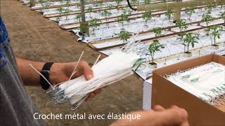 crochet metal Paskal + elastique
