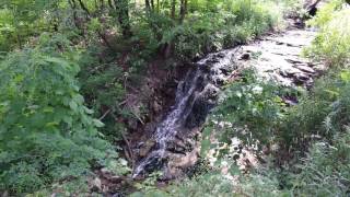 Hermitage  Small Waterfall