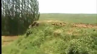 AŞIK MEVLÜT İHSANİ-YAYLALAR