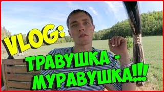 Vlog: КАК мы ездили за МЁДОМ || ПАСЕКА в Торонто!!
