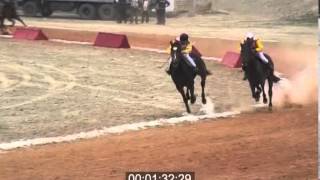 Лошади Касымова - Победители Навруз 2013 (TAJIKISTAN)
