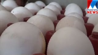 Police seized fake eggs | Manorama News
