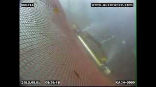 Aurora Marine - Net Cleaning