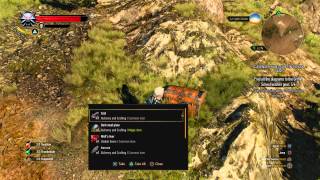 The Witcher 3 - Guarded Treasure Velen: Devine Relic Steel Sword & Enhanced Saddle Bag Location