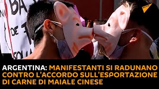 #Argentina: manifestanti si radunano contro l'accordo sull'esportazione di carne di maiale cinese