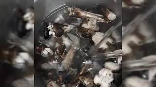 How to prepare mutton leg soup || aattukaal soup - recipe || goat leg soup