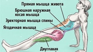 Убрать живот Подтянуть попу и укрепить спину одним упражнением СУПЕРПЛАНКА