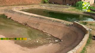 Visite d' une ferme piscicole intégrée au Cameroun