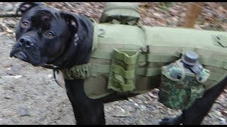 Hunde Rucksack Tour mit China Pfanne