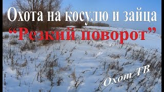 Охота на косулю и зайца - Резкий поворот