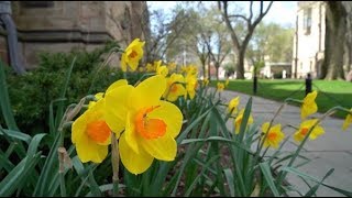 It's Your Yale - Explore Spring!