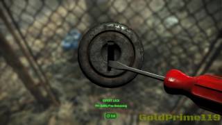Wierd torture house in fallout 4