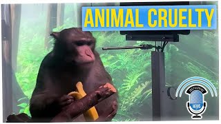 Elon Musk's "Neuralink" Did a Number on Monkey's Brains