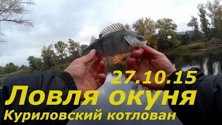 Ловля окуня. Куриловский котлован. 27.10.15