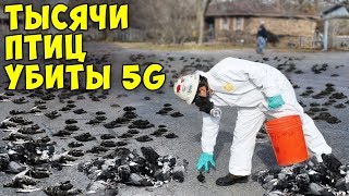 Вот Почему 5G Опасен