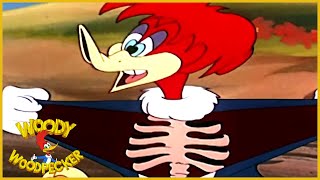 Woody Woodpecker | Fair Weather Fiends |Woody Woodpecker Full Episode | Old Cartoons|Videos for Kids