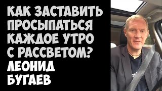 Как заставить просыпаться каждое утро с рассветом? | Леонид Бугаев | 02.09.2015 | Periscope