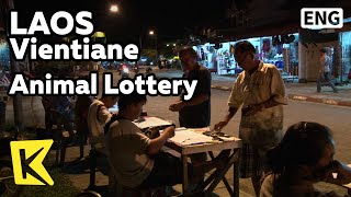 【K】Laos Travel-Vang Vieng[라오스 여행-방비엥]밤거리에 부는 동물 복권 열풍/Animal Lottery/Night Street