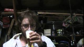 busch non alcoholic beer review
