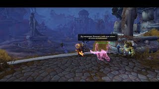 World of Warcraft: BFA - Наследие Наранана (Альянс)