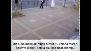 Ada Hikmah dibalik Ujian dan Musibah