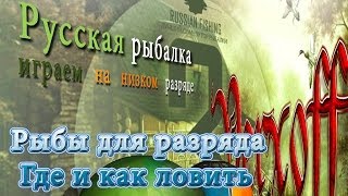 Акула полярная. База Камчатка. Русская рыбалка 3.7.4